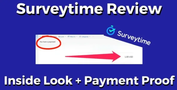 Surveytime review