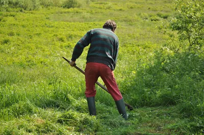 10 Apps Like TaskRabbit for Making Money With Odd Jobs