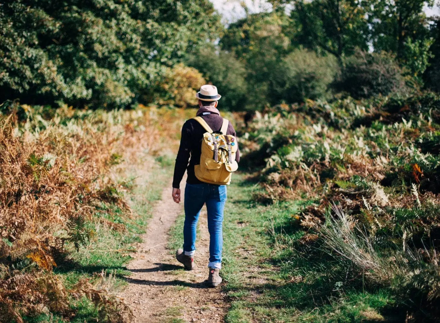 5+ Best Apps That Pay You to Walk in 2026