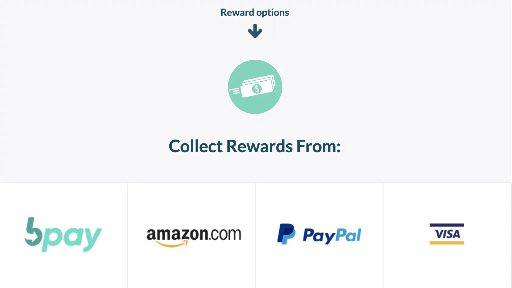 branded surveys redemption options