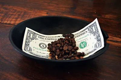 14 Dollar General Couponing Tips and Tricks That Save Real Money