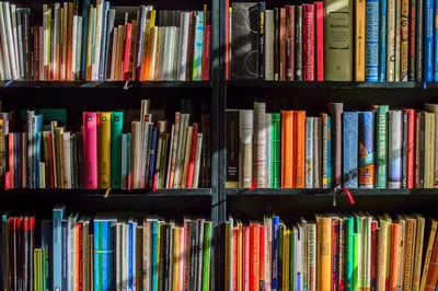 12 Ways To Get Free Books Delivered by Mail (Kids & Adults)
