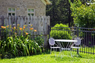 10 Proven Ways to Make Money in Your Backyard (No Experience Needed)
