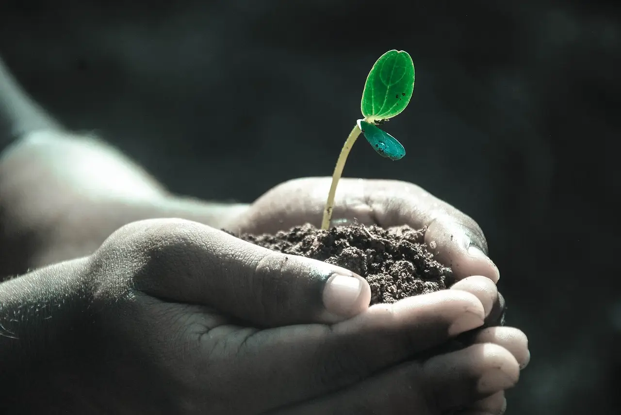 How to Make Money Growing Plants: 10 Most Profitable Picks
