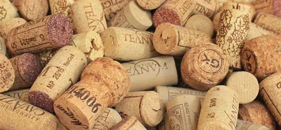 10 Easy Ways to Sell Wine Corks for Extra Cash