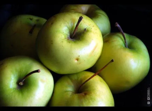 regrow-apples