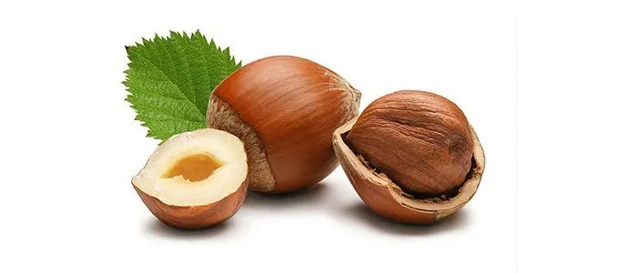 regrow-hazelnuts