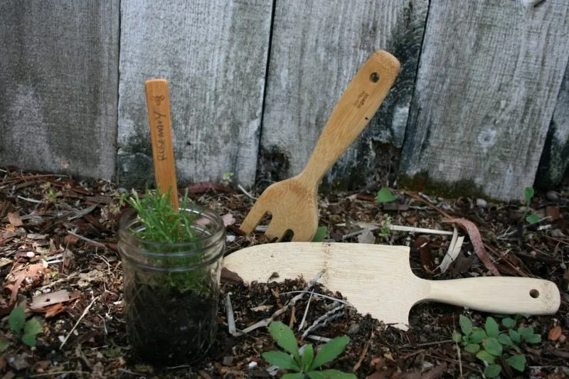 regrow-rosemary