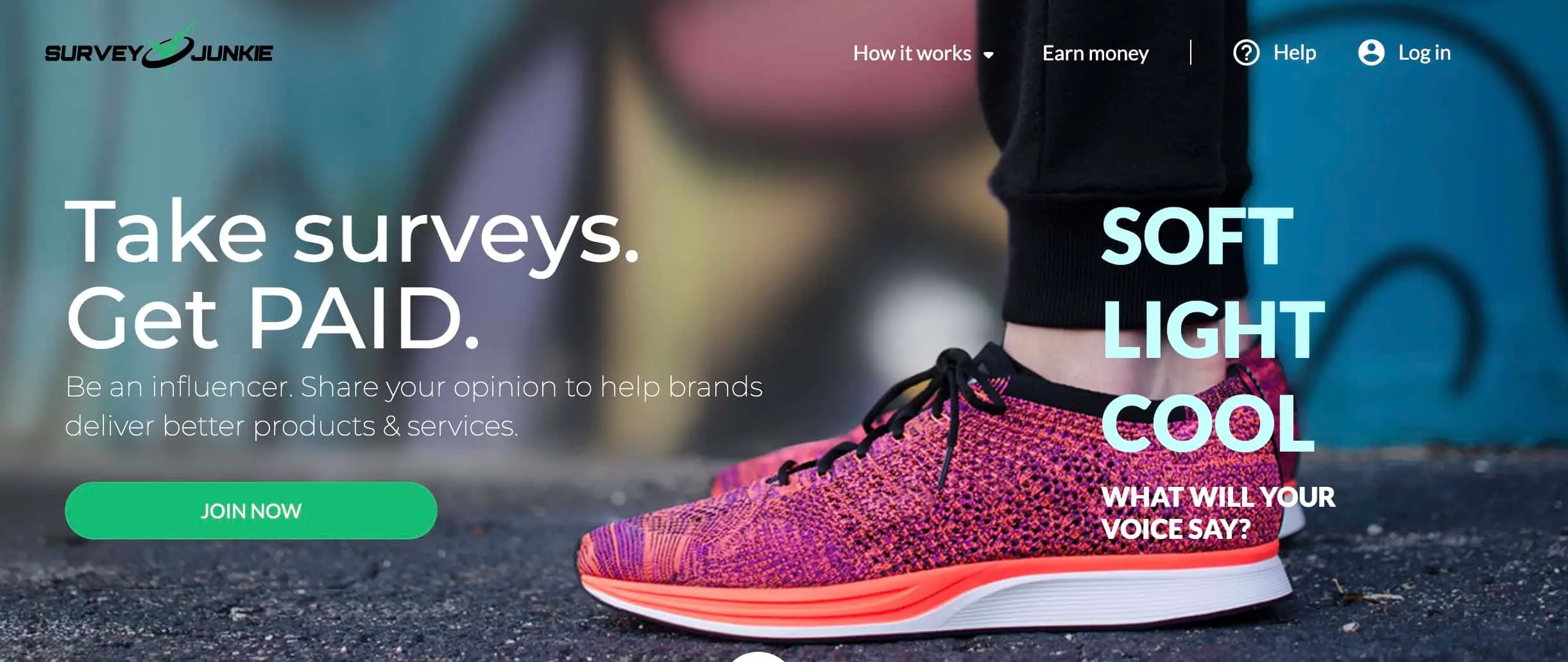 Survey Junkie Review: How Much Can You Really Earn?