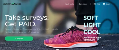 Survey Junkie Review: How Much Can You Really Earn?
