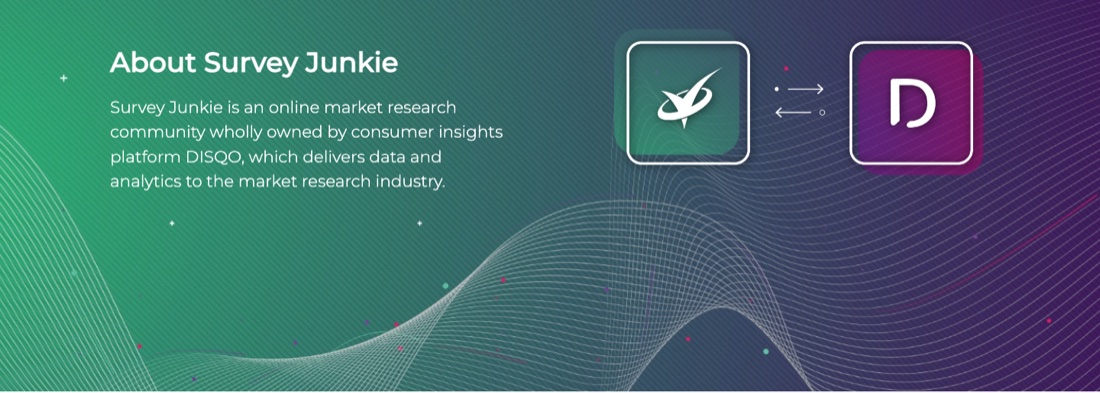 About Survey Junkie section of the homepage pairing the Survey Junkie logo with owner DISQO's logo