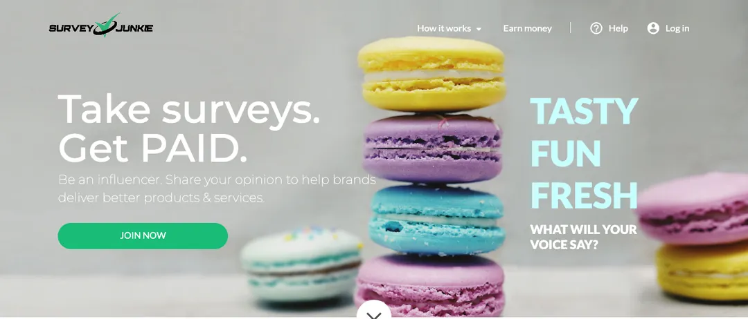 Survey Junkie homepage saying Take surveys. Get PAID., with a Join Now button
