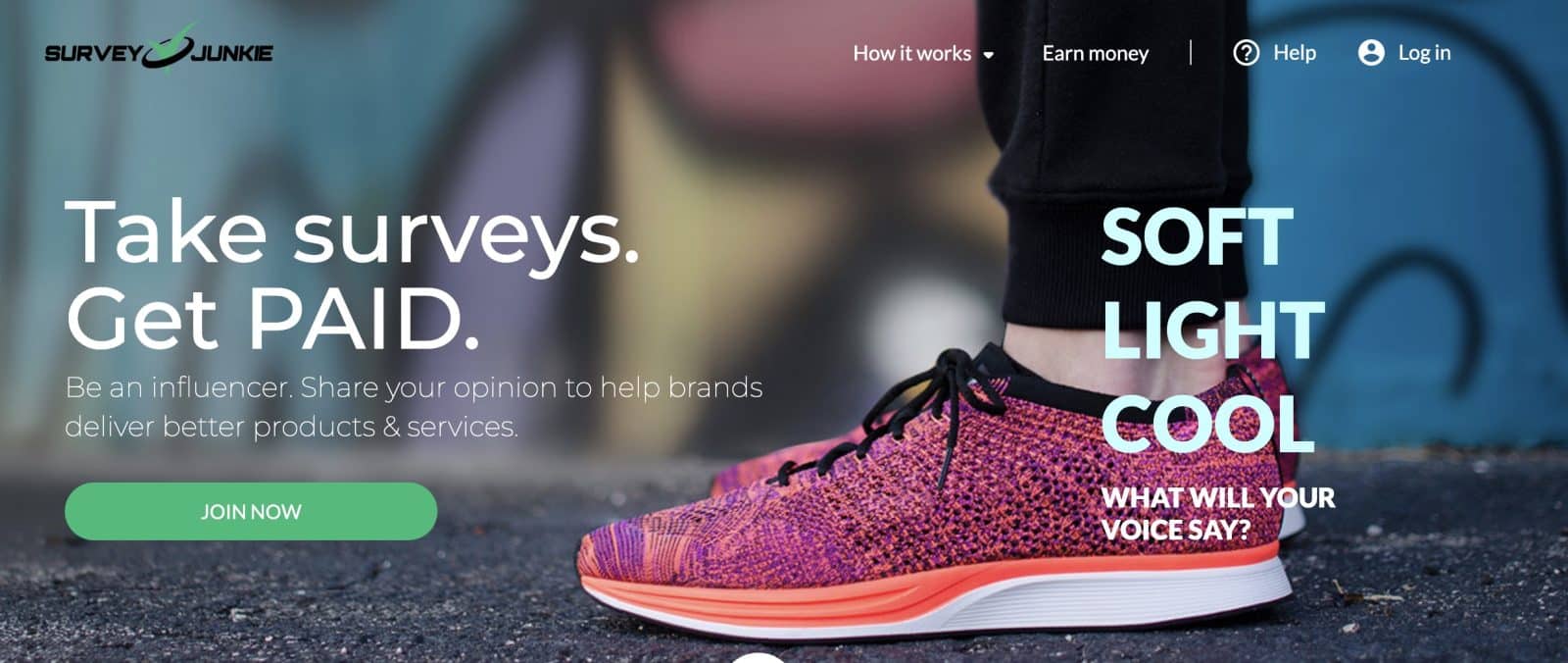 survey junkie review